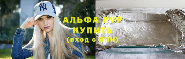 гашик Каменногорск