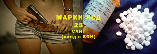 гашик Каменногорск
