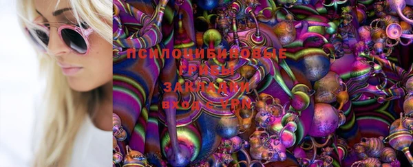 гашик Каменногорск