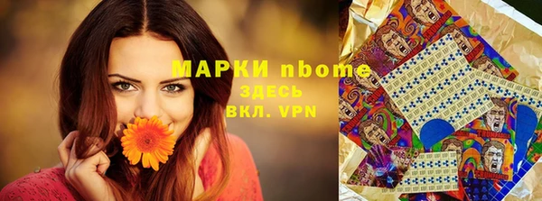 гашик Каменногорск